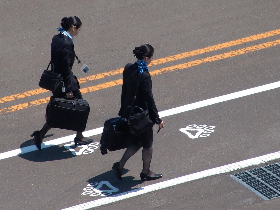 flight attendants