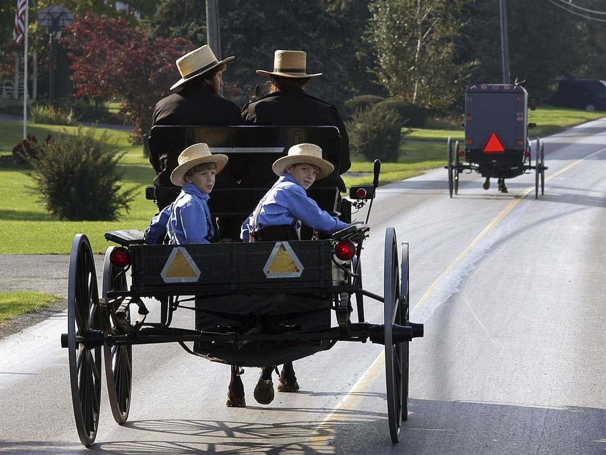 amish family buggy