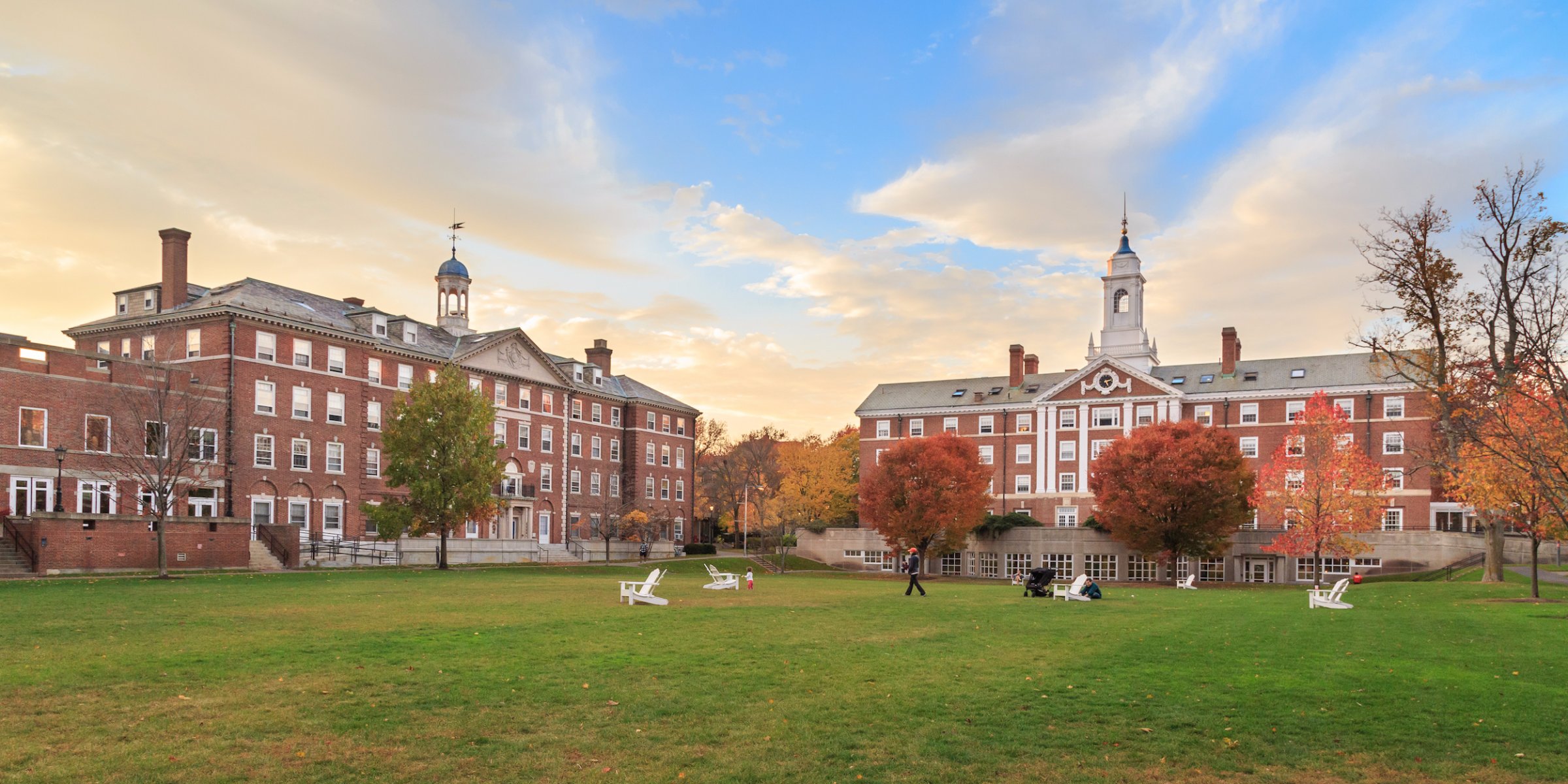 Harvard University