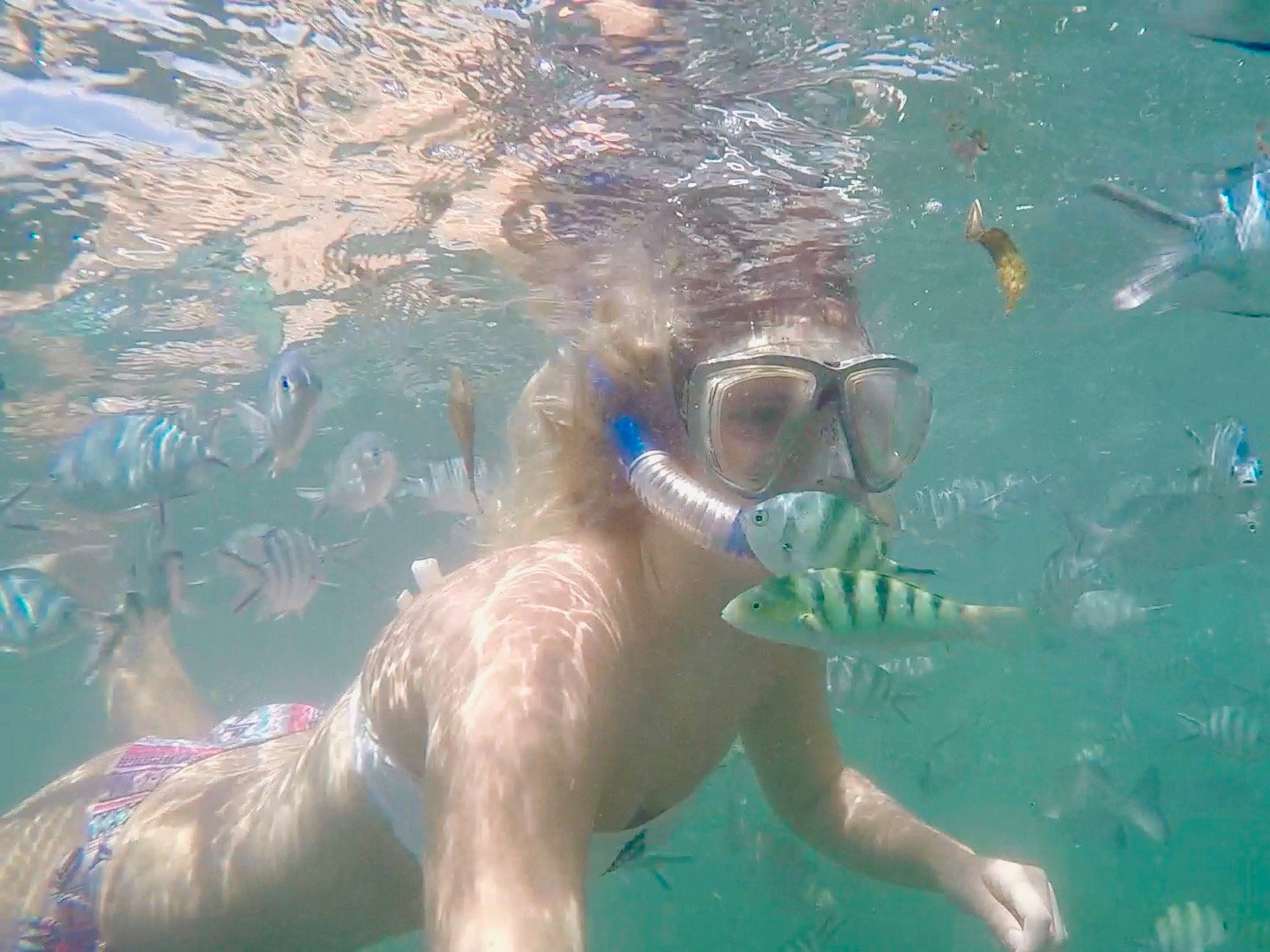 Snorkelling in the Malindi Marina Park, Kenya