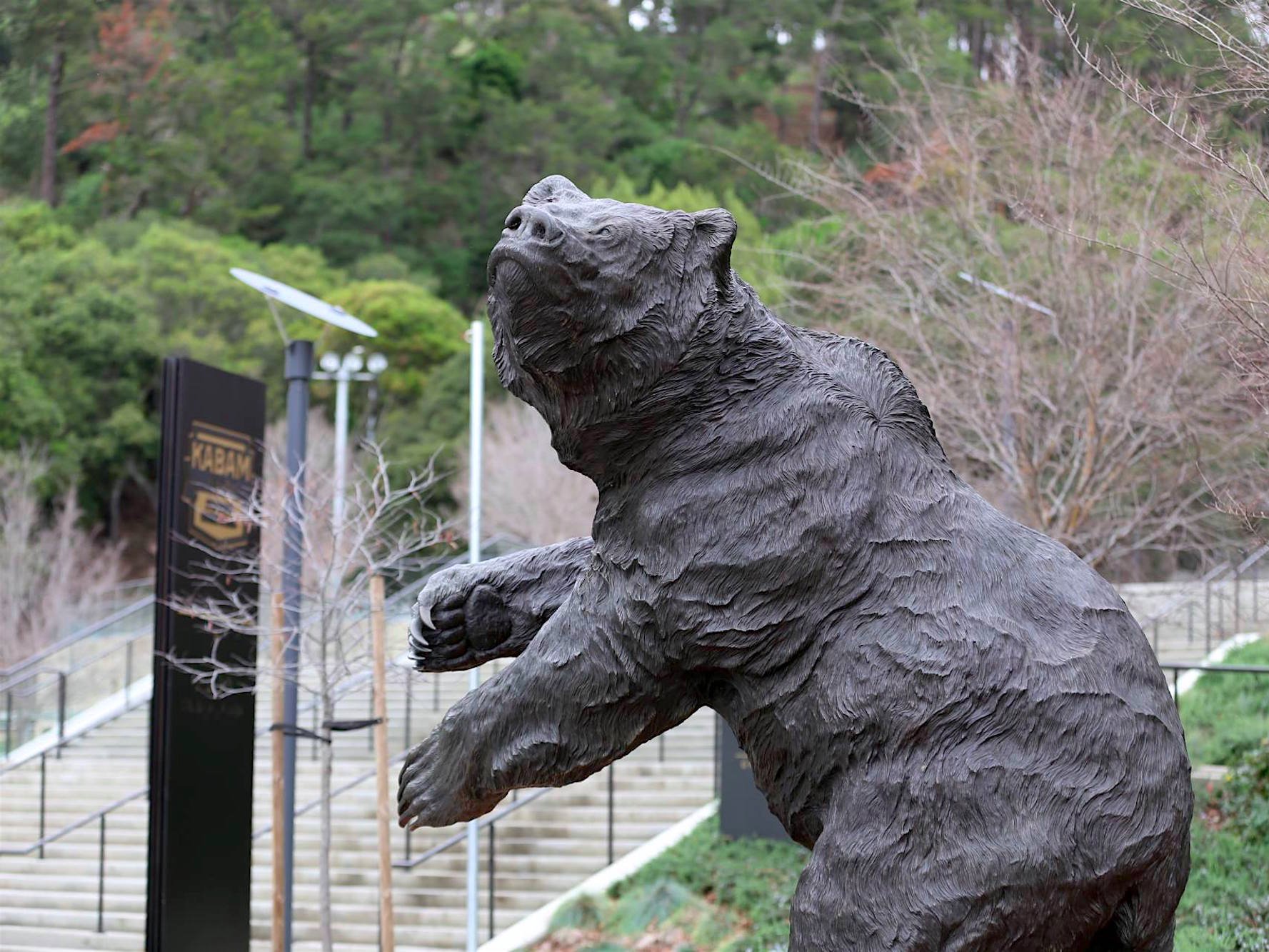 university of california berkeley