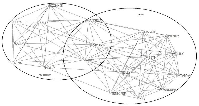 compartmentalized social network