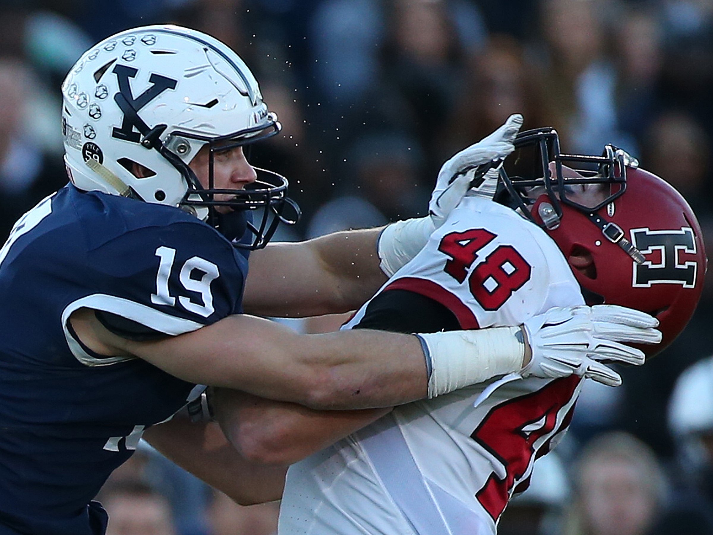 yale harvard football