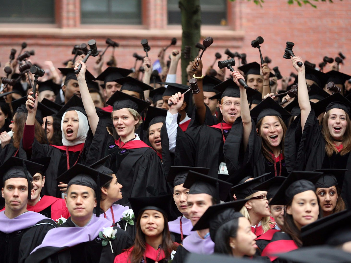 harvard law school graduates