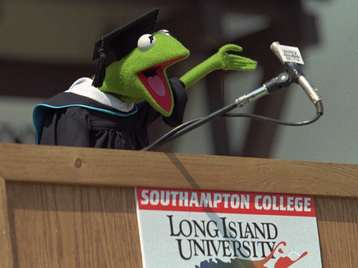 Kermit the Frog — Southampton College, 1996