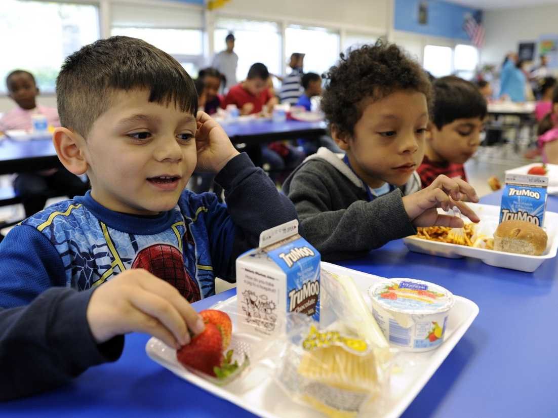 school lunch